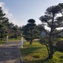 브릭민박 이미지