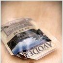 별이애견 이미지