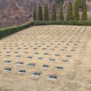 자연장지 이미지