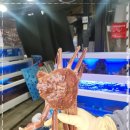 금성수산 이미지