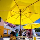 반짝이는 구절초/담양프로방스 이미지