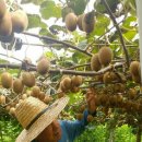 용수농장 이미지