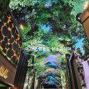 평일에 다녀옴 수유실 위치 / 주차장 주차 팁 /고래 미디어 아트 오아시스 고메 빌리지 푸드코트 후기