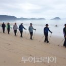 (주) 대상헬스케어 투어코리아