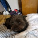 가야아파트 이미지