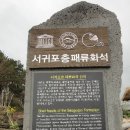 서귀동-19 이미지