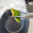 소사양꼬치 이미지