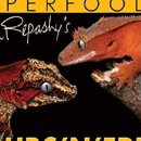 건이네 파충류 이미지