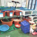 봉산민박 이미지