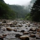 새론민박 이미지