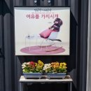 아름다운애견세상 이미지