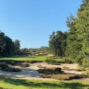 TOP GOLF클럽 이미지