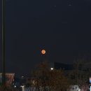 나영이막창본점 | 언주맛집 준배막창 대구 출신도 인정한 생막창 내돈내산 솔직 후기 하정우맛집