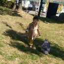 풀잎농장 이미지