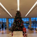 서부길 | 오션뷰 가능한 가성비 호텔 추천 - 신안 자은도 라마다 호텔