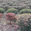 제1 농장 이미지