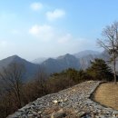 정선고성리산성 Daum카페