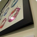 쿄쿄패밀리 이미지