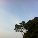 청정농원 이미지