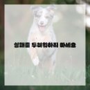 디저트 베이킹 이미지