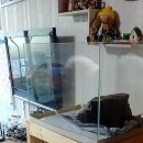 플랜츠비 이미지