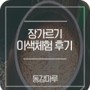 문곡중학교 | 영월농협 동강마루 장가르기 이색체험 후기
