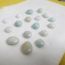 반려마루 동물병원 이미지