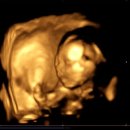 모태산부인과의원 이미지