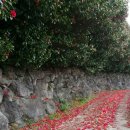 올레하우스 이미지