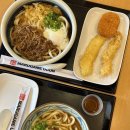 앤유피시 | 고시티 패스 알차게 활용하는 하와이 호놀룰루 하루 코스