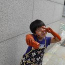 플레이아트 이미지