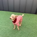 춘이네 멍치원 이미지