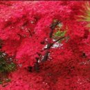 부천중동약국 이미지