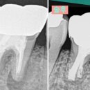 박진우치과의원 이미지