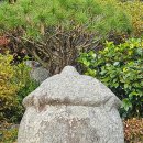 보천사 취계당 대사 부도 이미지