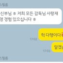 히비스필름