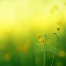 (주)항공실업 이미지