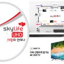 [마감] 초고화질 UHD TV 및 KT스카이라이프 위성방송 무료 지원(11월4일까지) 이미지