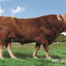 덕풍 2농장 이미지