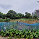 덕송민박 이미지