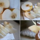 순금농장 이미지