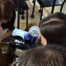 탈모왕 광주점 | [광주] 탈모왕 - 여성탈모인이 광주 SMP 두피문신 받고 온 내돈내산 후기