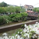 천국은불타고있다 이미지