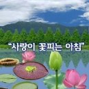 오늘의 뉴~스 (9/15일 목요일) 이미지