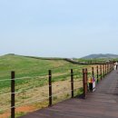 웰빙한우 이미지