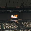 가가오토 | 20241223 「超DOME TOUR 二十祭」 : 5년만에 재입덕, 한달만에 간 20주년 라이브 후기