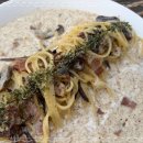 데이지브런치 이미지