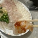 대구복현동우체국 | 대구 복현동 복현오거리 가성비 횟집 서민회