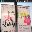 채홍일 카페-울산 무거천 궁거랑 벚꽃축제-울산제일일보 신문사 052-260-8617 (160402) 이미지