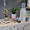 신시로돼지국밥 이미지